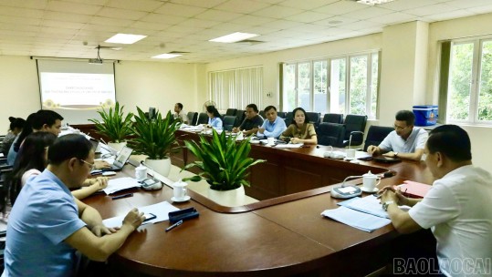 Chấm chung khảo xét chọn các tác phẩm trao Giải báo chí Lào Cai lần thứ 16 năm 2025