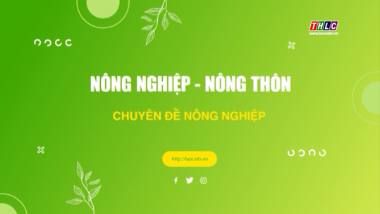 Nông nghiệp - Nông thôn: Nông nghiệp - Phát triển Nông thôn (27/5/2025)