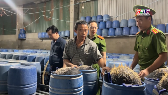Thời sự Lào Cai 19h50 (27/5/2025)