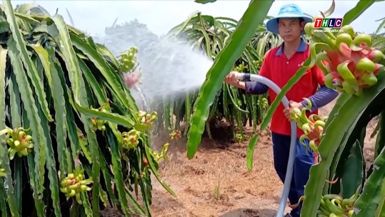 Lào Cai ngày mới (28/5/2025)