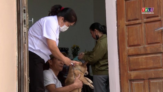 Phát hiện mới 2 ổ bệnh dại chó