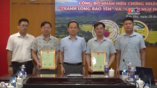 Công bố nhãn hiệu chứng nhận “Thanh long Bảo Yên” và “Chuối ngự Hồng Cam”