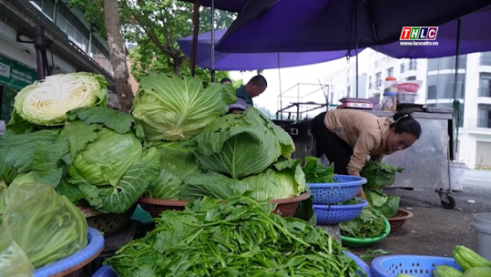 Thị trường rau xanh ổn định