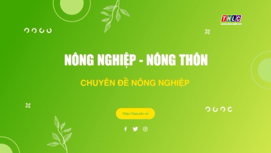 Nông nghiệp - Nông thôn (tiếng Dao):  Nông nghiệp - Phát triển nông thôn (30/5/2025)