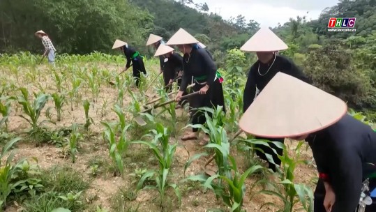 Bảo Yên đổi thay ở vùng đồng bào dân tộc thiểu số