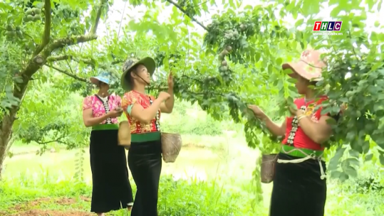 Tây Bắc chuyển động (1/6/2025)