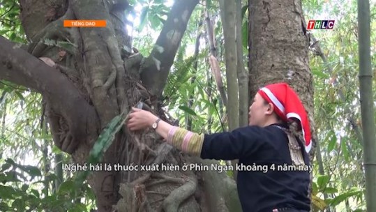 Thời sự tiếng Dao (02/6/2025)