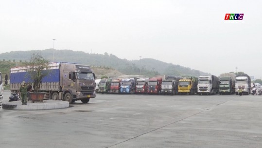 Bố trí luồng riêng dành cho quả vải thiều xuất khẩu