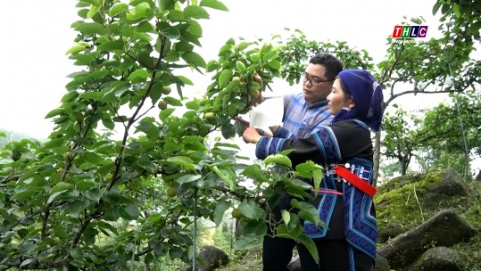 Nông nghiệp - Nông thôn: Xây dựng Nông thôn mới (3/6/2025)