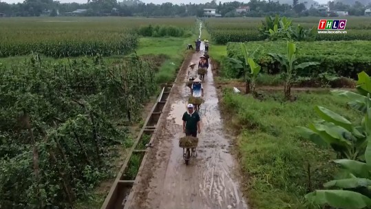 Tây Bắc chuyển động (4/6/2025)