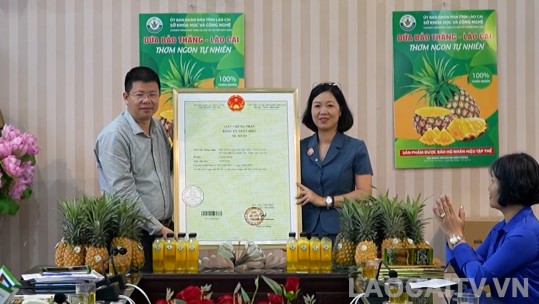 Công bố văn bằng bảo hộ 