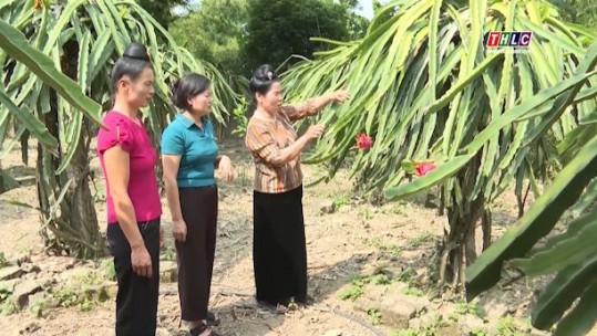 Tây Bắc chuyển động (05/6/2025)