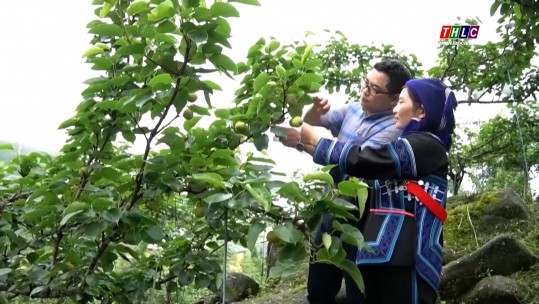 Lào Cai ngày mới (6/6/2025)