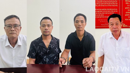Khởi tố, bắt tạm giam 4 bị can liên quan đến vụ khai thác rừng trái phép ở xã Vạn Hòa (TP. Lào Cai)