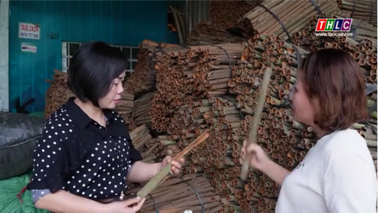 Bát Xát thu hút doanh nghiệp đầu tư vào lĩnh vực nông nghiệp