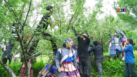 Lào Cai ngày mới (7/6/2025)