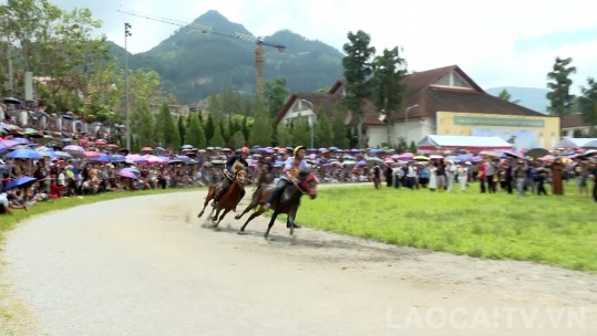 Bắc Hà thu hút hơn 20.000 lượt khách trải nghiệm Festival Cao nguyên trắng Bắc Hà 2025