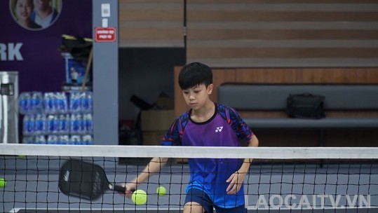 Ươm mầm tài năng Pickleball Lào Cai