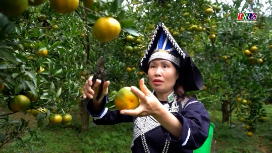 Trên 5.700 tỷ đồng thực hiện các dự án, tiểu dự án Chương trình 1719
