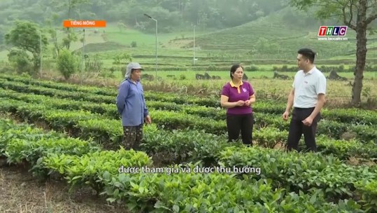 Kết đoàn (tiếng Mông): Công tác mặt trận (10/6/2025)