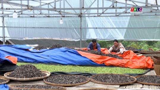 A Mú Sung thực hiện mục tiêu nghị quyết đại hội (2020 - 2025)
