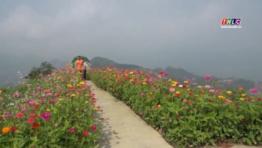 Thời sự Lào Cai 11h30 (10/6/2025)
