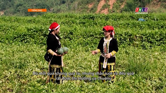 Chuyện bản tôi (tiếng Dao) (11/6/2025)