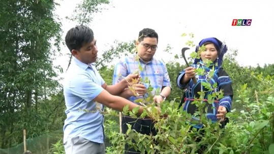 Thời sự Lào Cai 19h50 (10/6/2025)