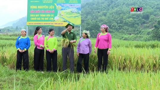 Thời sự Lào Cai 11h30 (11/6/2025)
