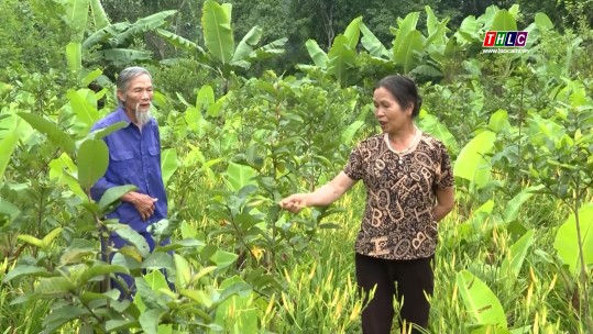 Tổ trưởng dân phố tận tụy với việc chung