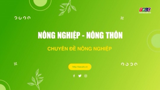 Nông nghiệp - Nông thôn (tiếng Mông): Nông nghiệp - Phát triển Nông thôn (12/6/2025)
