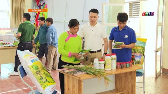 Thời sự tiếng Dao (13/6/2025)