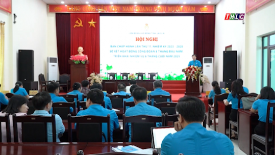 Hội nghị Ban Chấp hành Liên đoàn lao động tỉnh lần thứ 11 khóa XVII