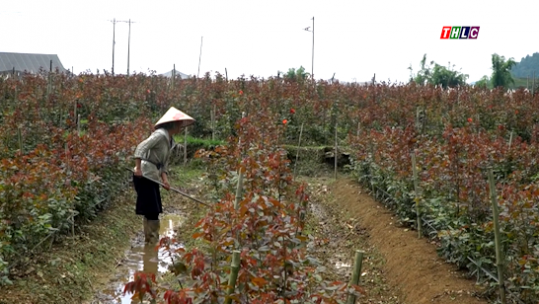 Ngày mới trên 