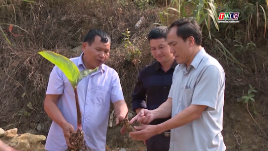 Bản tin Tài chính - Thị trường (15/6/2025)
