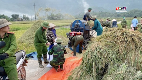 Lào Cai ngày mới (15/6/2025)