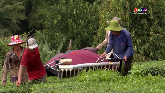 Tây Bắc chuyển động (16/6/2025)
