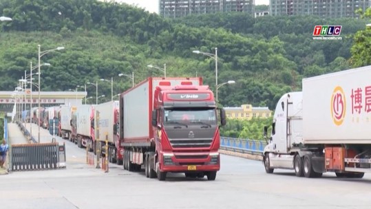 Thời sự Lào Cai 11h30 (18/6/2025)