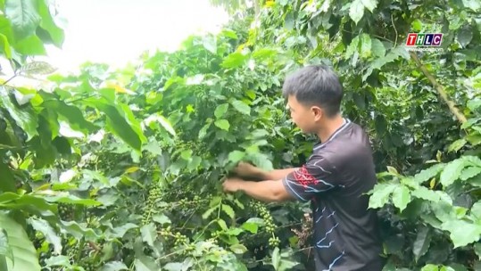 Tây Bắc chuyển động (18/6/2025)