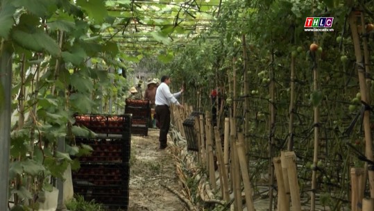 Tây Bắc chuyển động (19/6/2025)