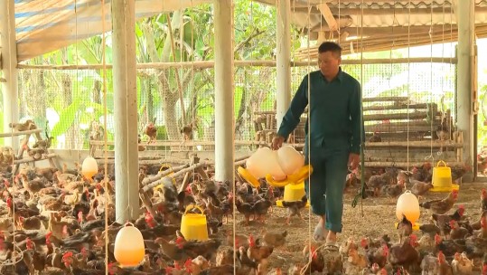 Lan toả phong trào thi đua sản xuất kinh doanh giỏi ở Phú Nhuận