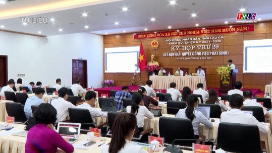 Thời sự Lào Cai 11h30 (20/6/2025)