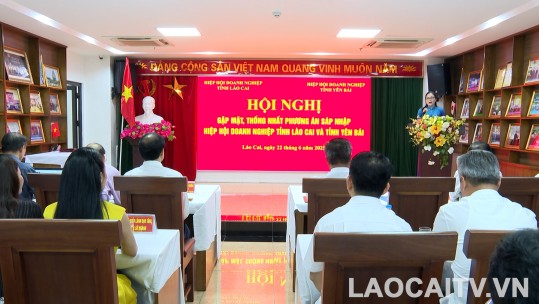 Thống nhất phương án sáp nhập Hiệp hội Doanh nghiệp tỉnh Lào Cai và tỉnh Yên Bái