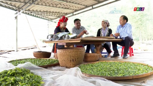 Nữ Bí thư Chi bộ người Dao phát triển kinh tế giỏi