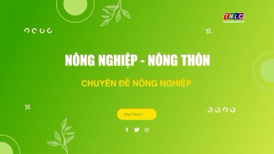 Nông nghiệp - Nông thôn:  Nông nghiệp - Phát triển Nông thôn (24/6/2025)