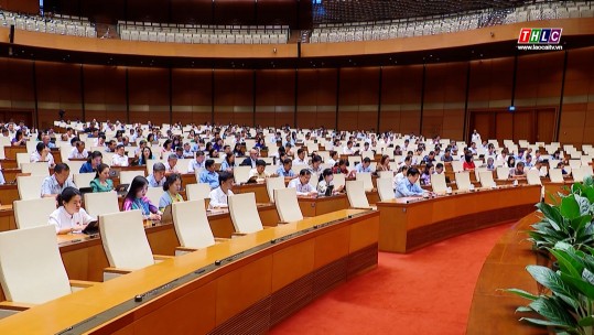 Thời sự Lào Cai 19h50 (25/6/2025)