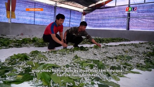 Nông nghiệp - Nông thôn (tiếng Mông): Nông nghiệp - Phát triển nông thôn (26/6/2025)
