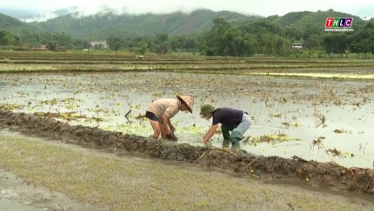 Buổi sáng của nông dân ở xã Nghĩa Đô