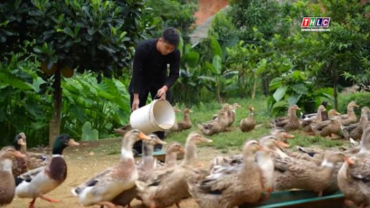 Niềm vui người chăn nuôi